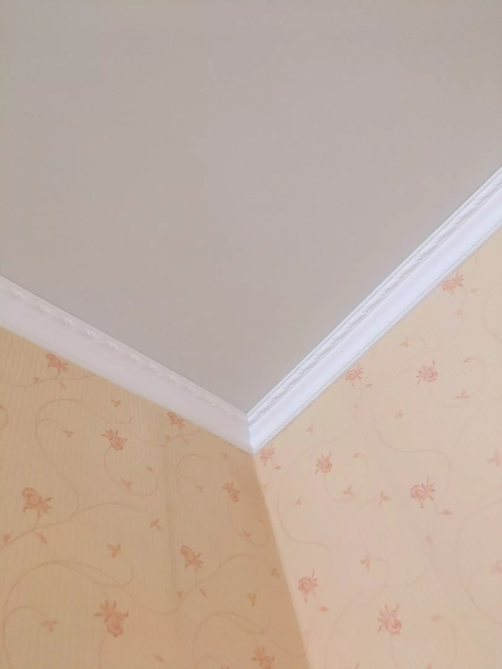 Пушкино, Энтузиастов, 23Б, фото 3