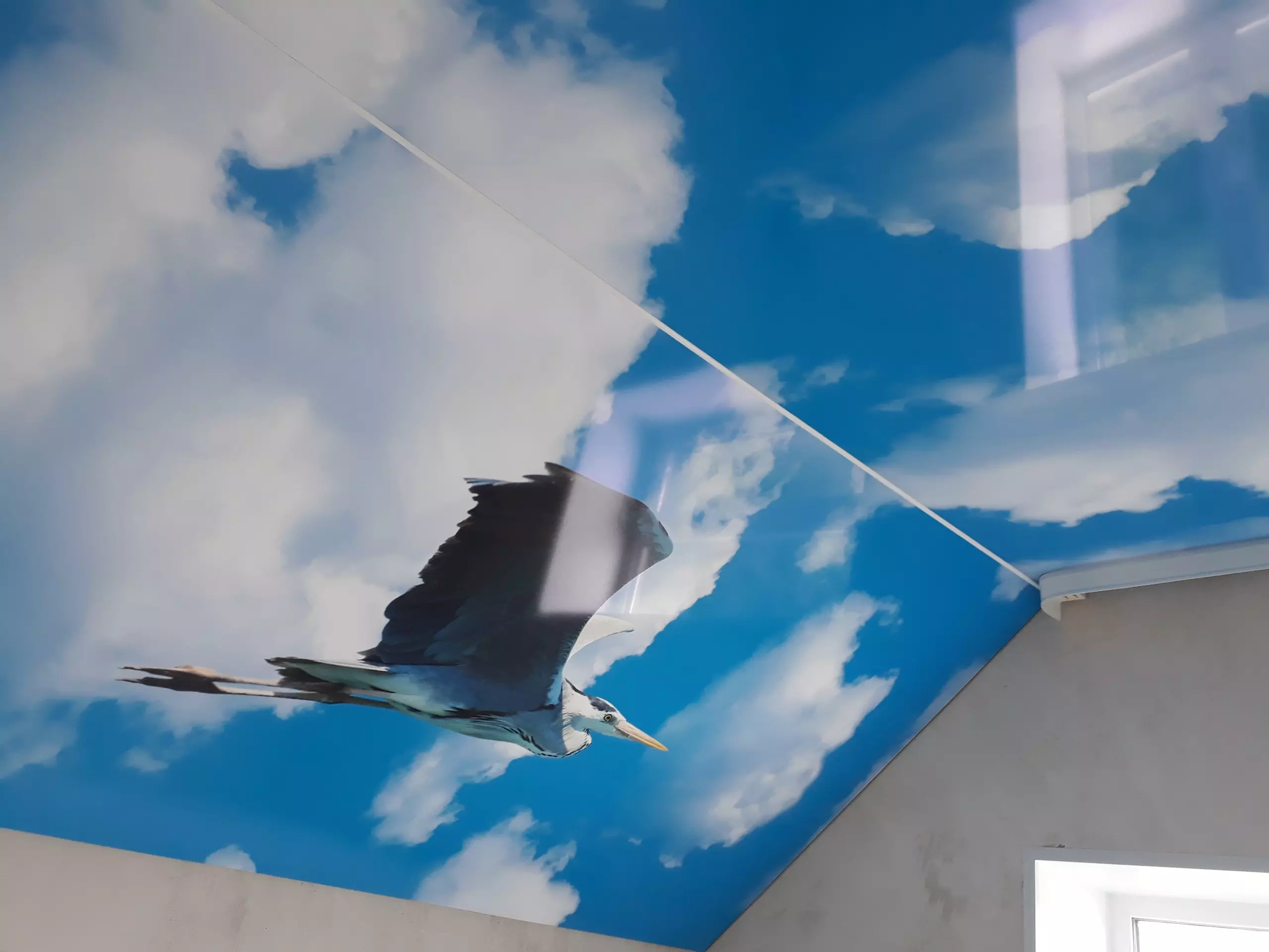 Барнаул, Власихинская, 97, фото 1