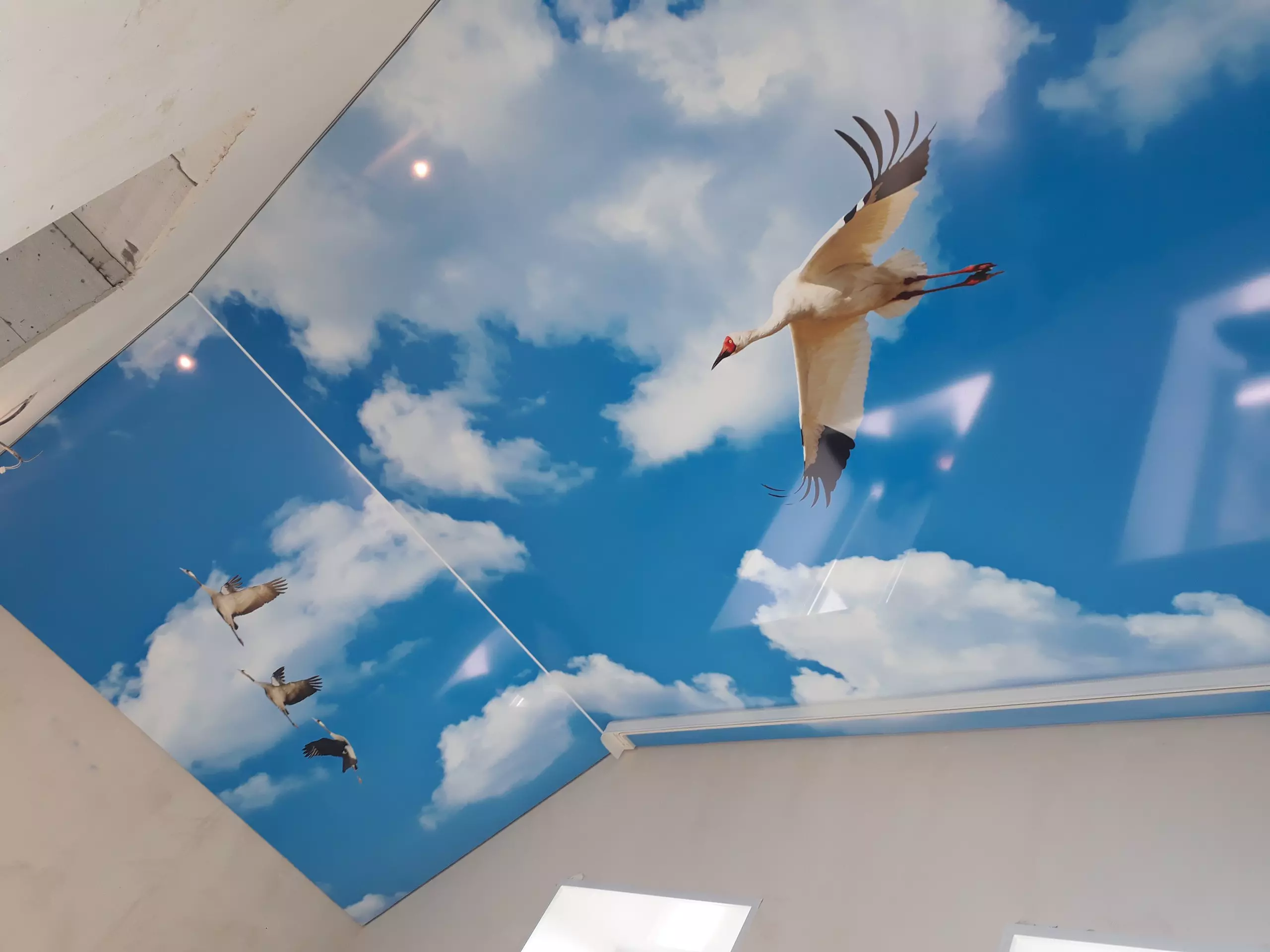 Барнаул, Власихинская, 97, фото 2