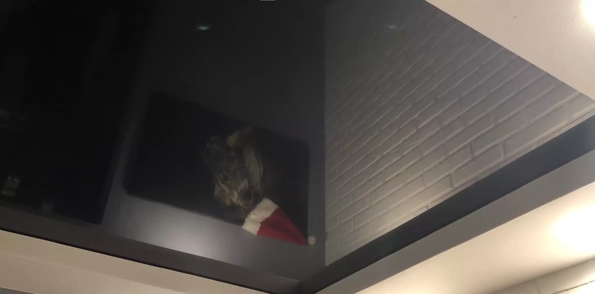 Сергиев Посад, , фото 3