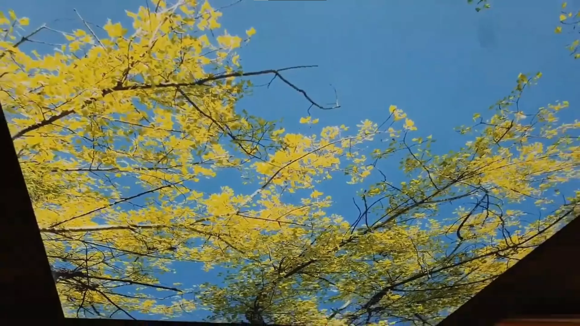 Каменск-Уральский, , фото 2