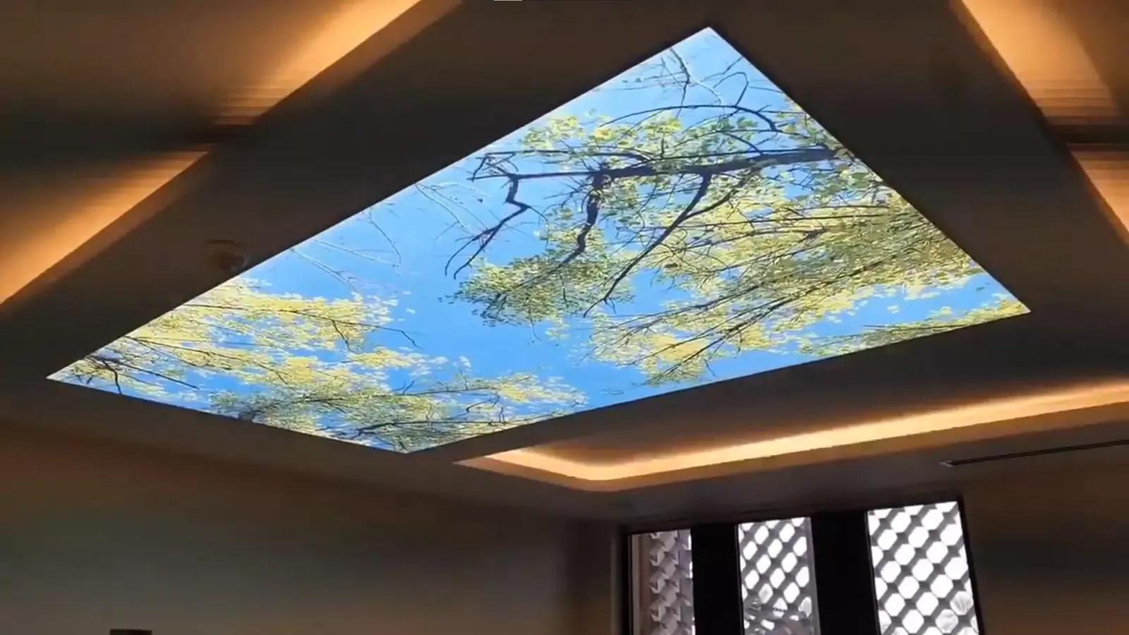 3D натяжной потолок — Пушкино, Московский проспект, 54а, фото 1